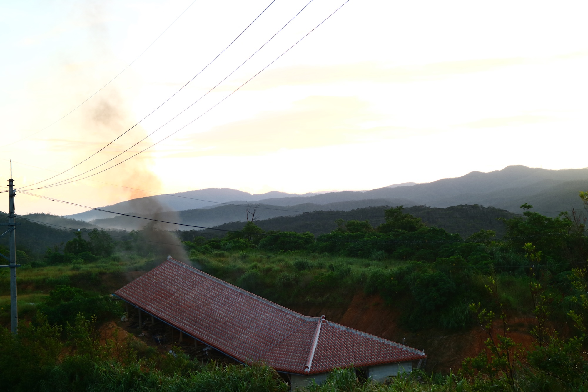 焼き上がったシーサー