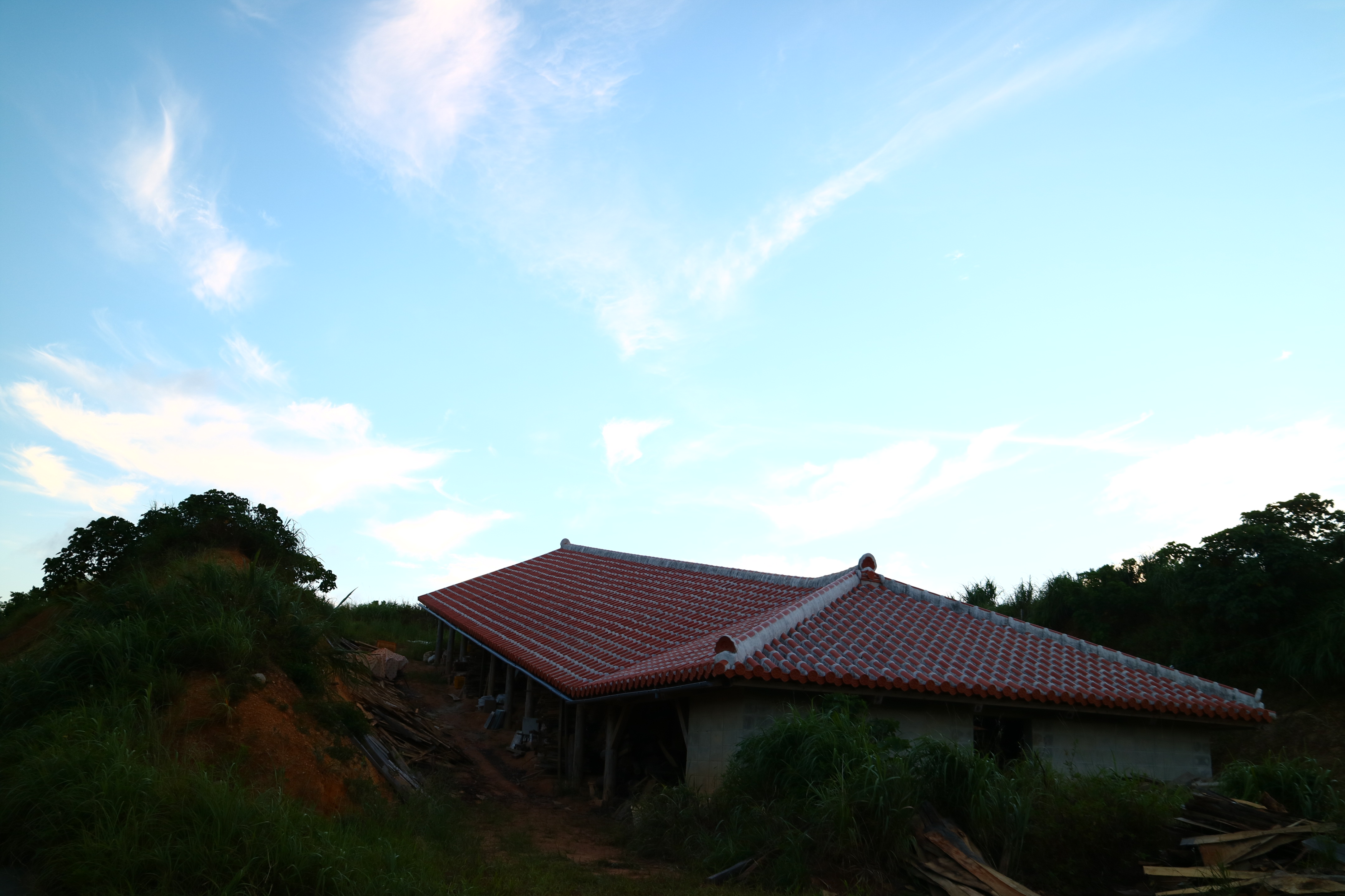 やんばるの夜明け