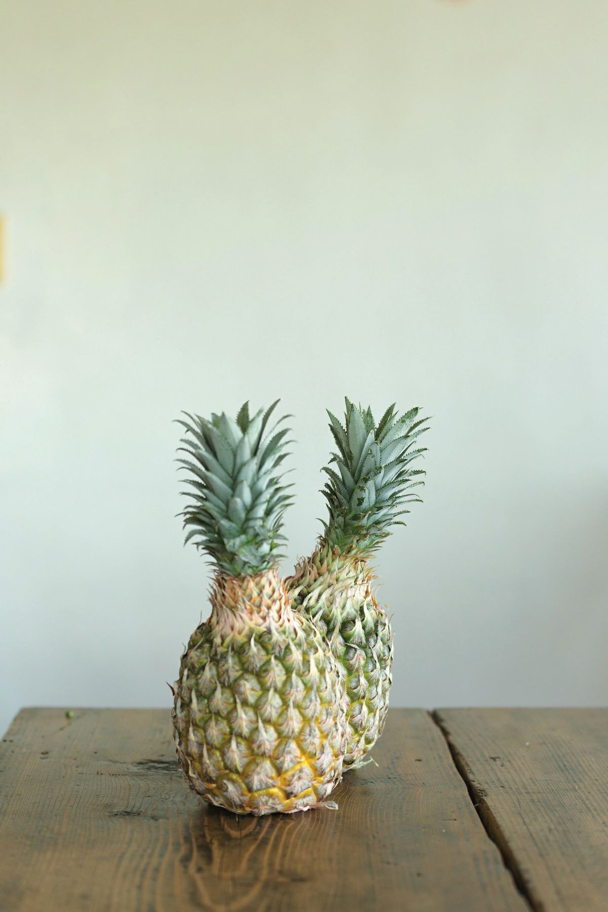 タオルハンカチ パイナップル青海波 シマノネ | ゆいまーる沖縄 ＜Online＞