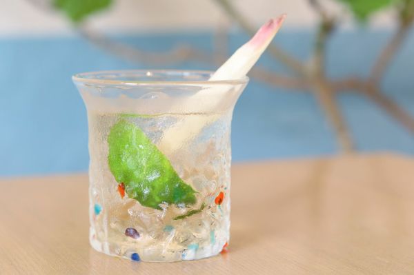 荒磯カーニバルグラス　RYUKYU GLASS WORKS 海風