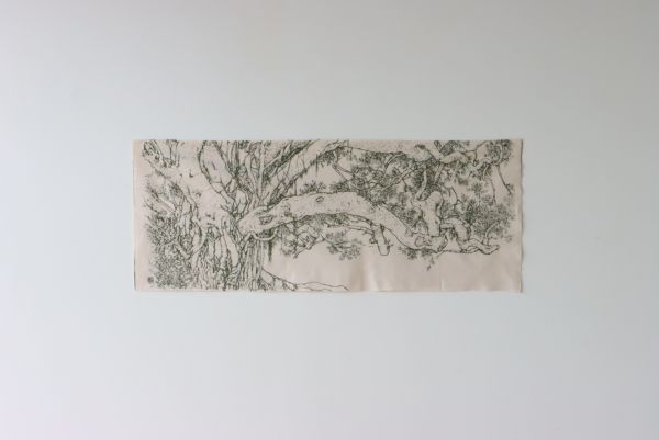 てぬぐい　「ガジュマル」 伊東孝志